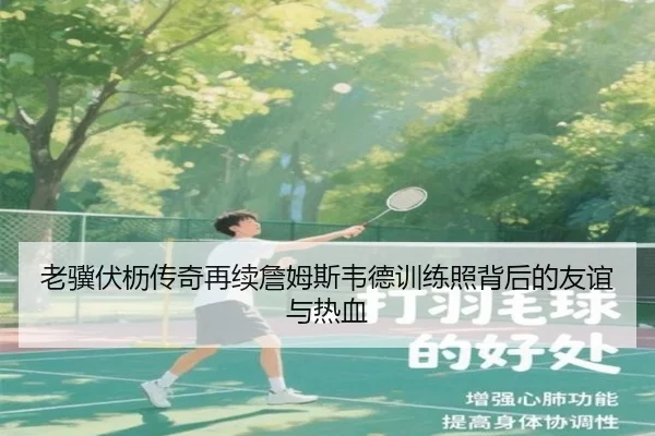 老骥伏枥传奇再续詹姆斯韦德训练照背后的友谊与热血